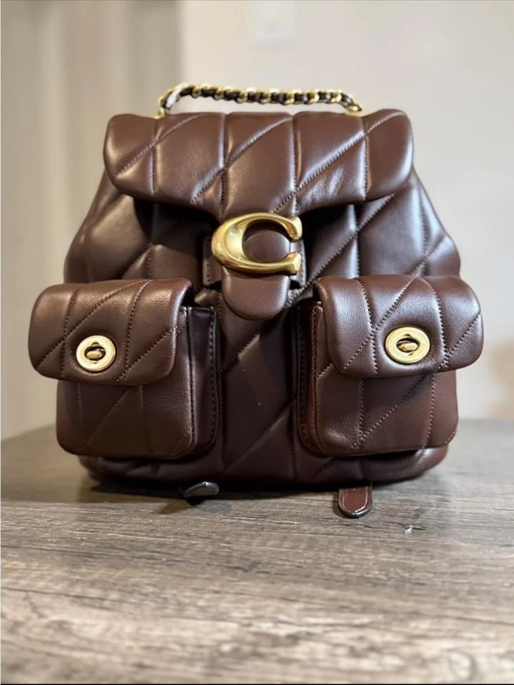 Coach Quilted Chocolate Brown Leather Backpack with Gold Hardware